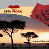 logo-afriflora-image