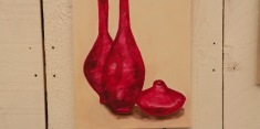 dscn4038
