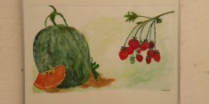 dscn4040