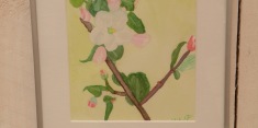 dscn4044