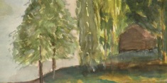 dscn4047