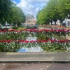 rftr-brug-met-rozen