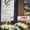 rozen-afriflora-wkd-2022
