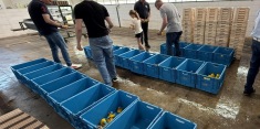 img-20250511-wa0004-kopie